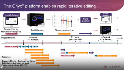 Iterative Genome Engineering for Rapid Improvement of Protein Activity and Production
