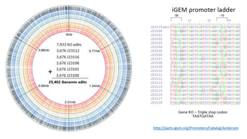 Proteins, Pathways and Genomes: Innovations in Forward Engineering