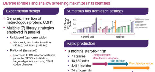 Identifying genome-wide targets of osmotic stress tolerance in E. coli using CRISPR-mediated forward engineering