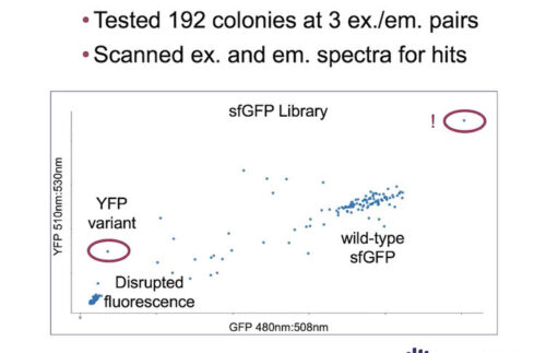 Heterologous Protein Engineering and characterization of native regulatory elements in E. coli using Massively Parallel CRISPR Editing