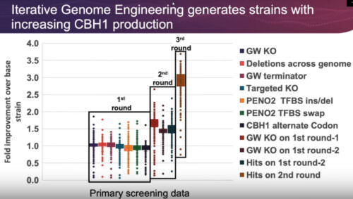 Implementing shallow screening strategies to accelerate microbial strain improvement