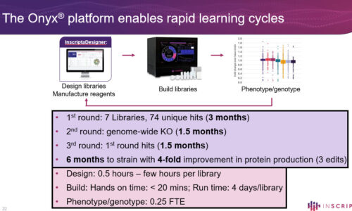 Accelerating strain development process for CDMO and CRO companies