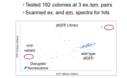 CRISPR-based multiplexed genome editing for improved heterologous protein engineering and expression in<em> E. coli</em>