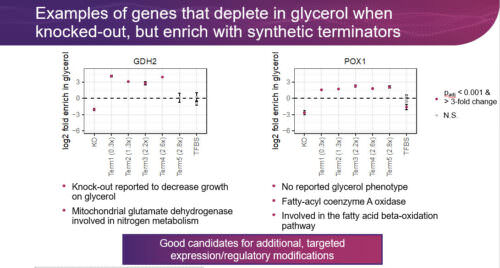 Massively Parallel CRISPR Genome Editing in <em>S. cerevisiae</em>