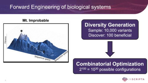 Rapid Forward Engineering of Biological Systems: Part 2 Combinatorial Optimization
