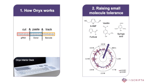 A New Era in Forward Engineering of Proteins, Pathways and Genomes using the Onyx™ Platform